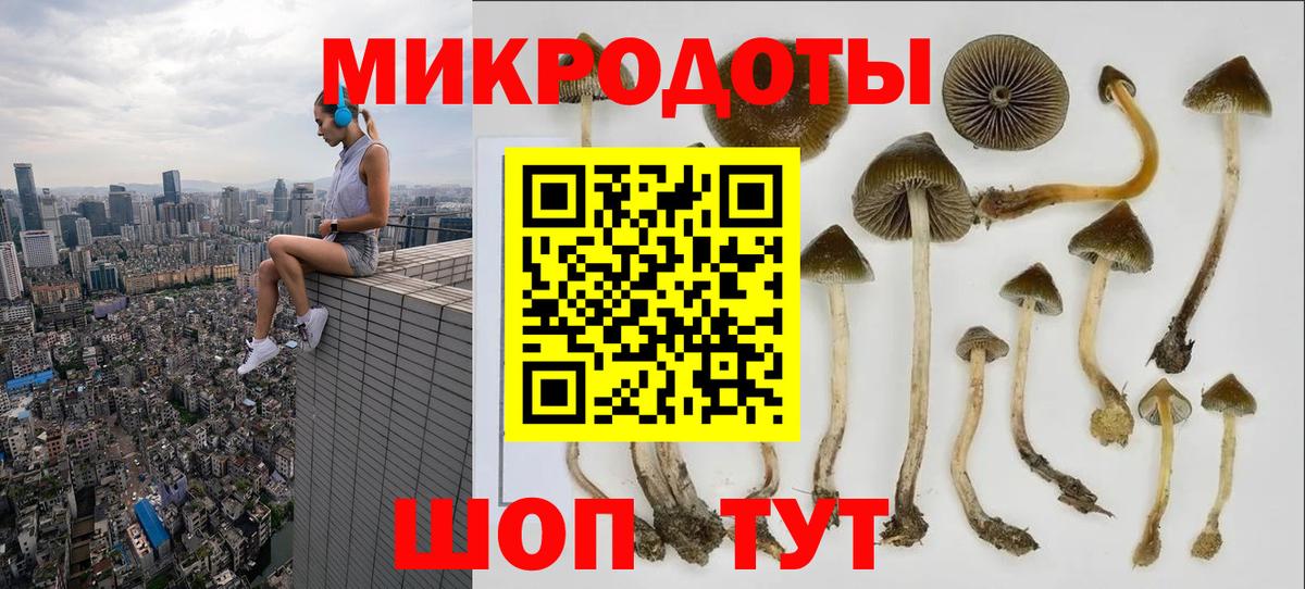 А ПВП Кириши