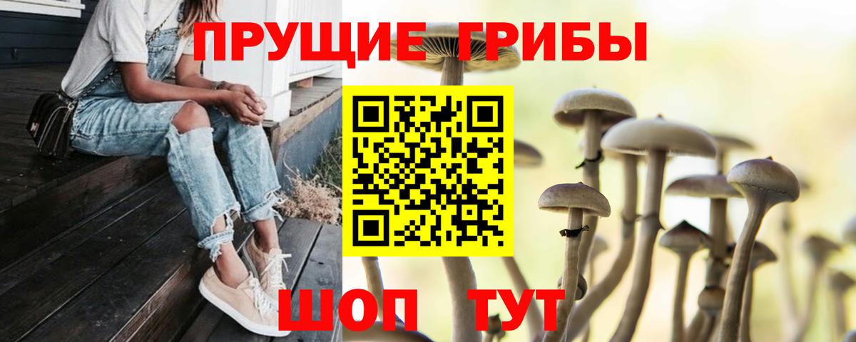 Галлюциногенные грибы Psilocybine cubensis  Вход с VPN  Кириши  Псилоцибиновые грибы ЛСД 